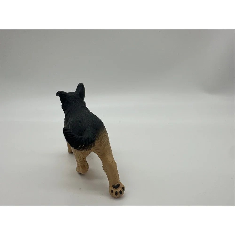 Safari pre owned